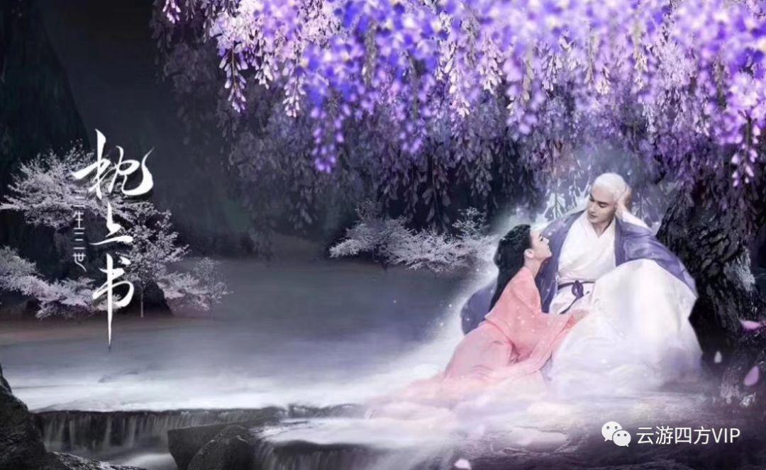 寻找沙漠珍宝