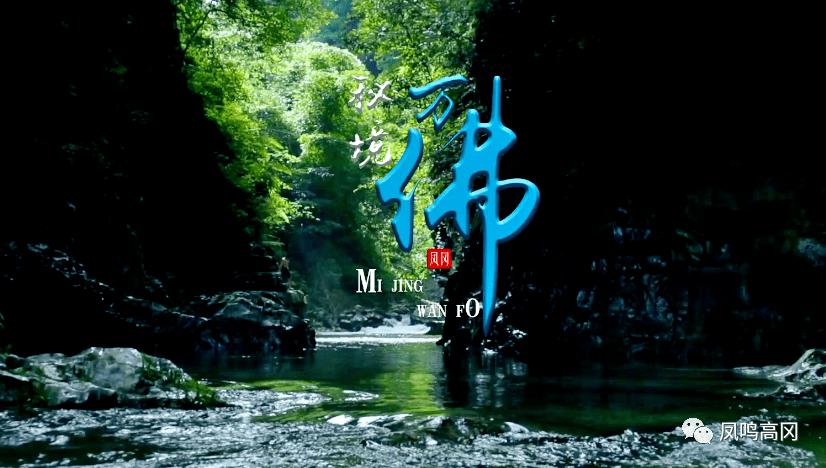 小猫钓鱼正版下载中文版